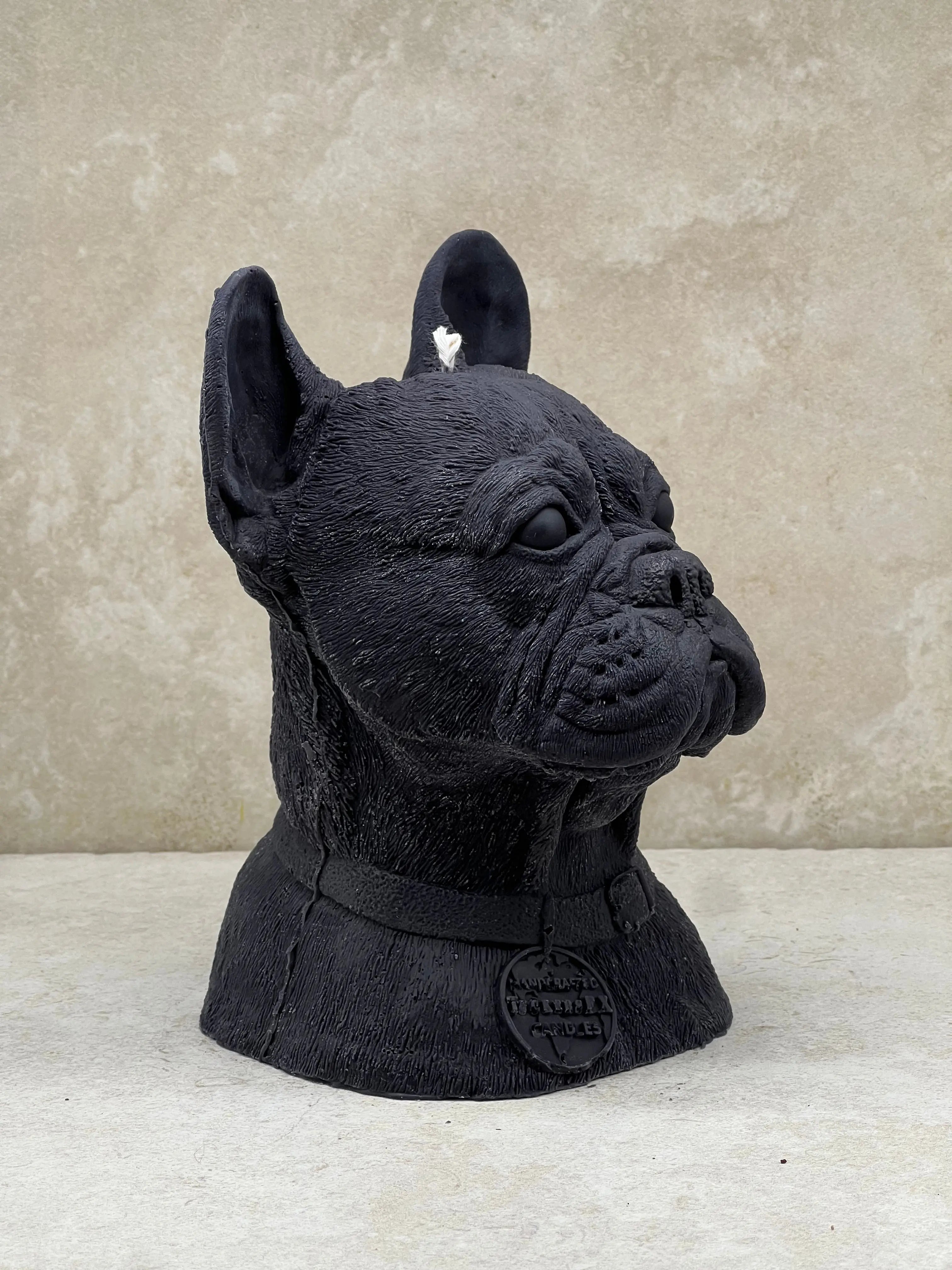 French Bulldog Tuckersfx